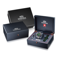 Santa Maria di Sala - Via Caltana 169 - Orologio Festina Uomo in Acciaio F20043/4 - F20043/4